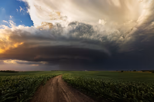 Item #57251113074943954855942840735628688179357395096498924603553152774484680245249 Media