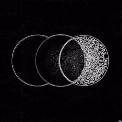 Eclipse #12: "Black Sun"