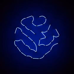 Neon Light #0717