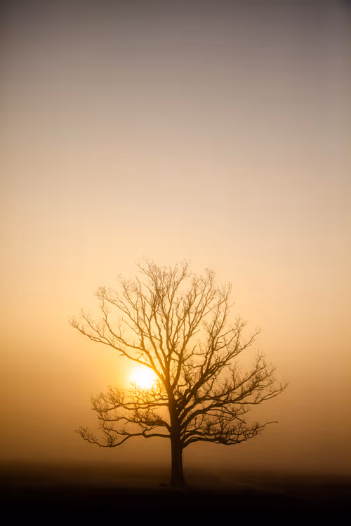 Item #7541061549894864195156407878226049609919453325507496884230064732949088043009 Media