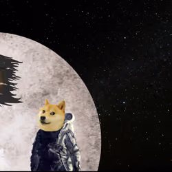 Doge on the Moon
