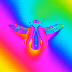 ENSect #098
