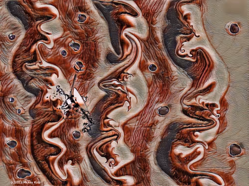 Item #12045251777728432145956186615636255554513533574768873390781080178903190863873 Media