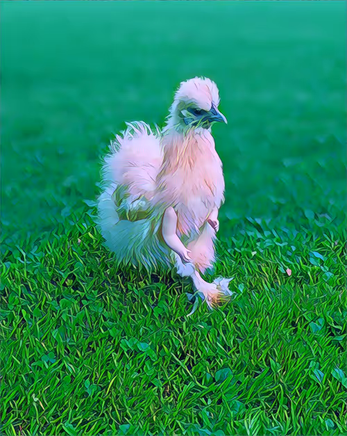 Item #12986001583624842443475589555777676835882886084855718816066093935658493018113 Media