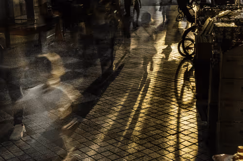 syogetsusai Collection