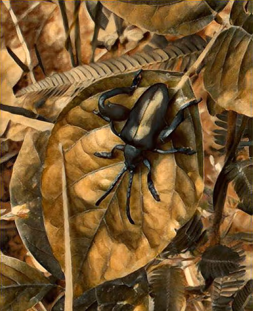 Item #81269833061274051173789884418282317830923519221172308843662164450484747763713 Media