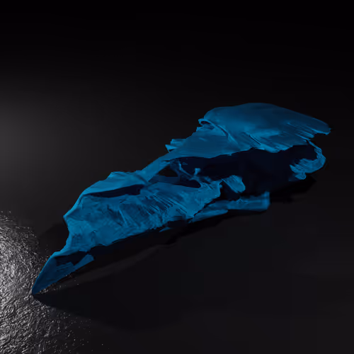 Item #20250001323464517401306315509532802406644919304029953922967480021394638503937 Media