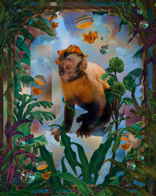 Item #52157283746525259542450048435420026544825586665161748575613848732595770097665 Media