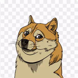 DOGE ORIGINAL 