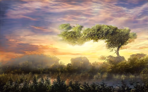 Item #5227109851209351195746554376827120189396629519479479933106426090615390339073 Media