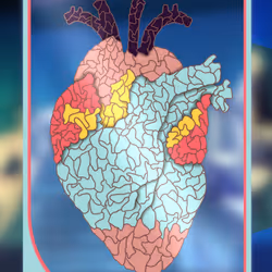 90475678972029395359707263313456981686565599755556252855853744739656627388417