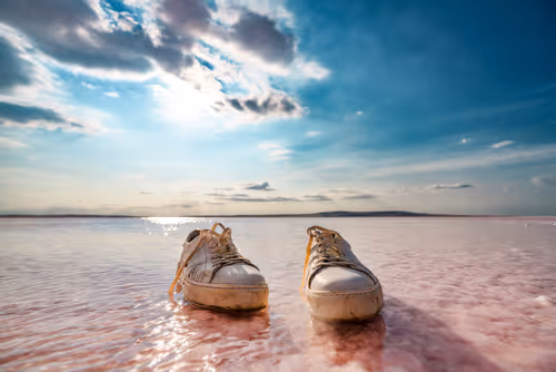 Item #103012301657456598627464593711191492996341926608798375780323323149402851246081 Media