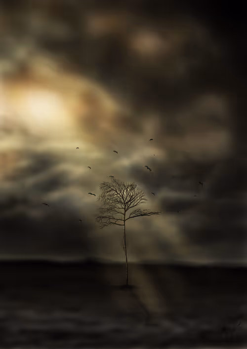 Item #46847071141137038118818934583613218232228052650958421967392214802478359642113 Media