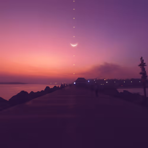 My Pink And Purple World