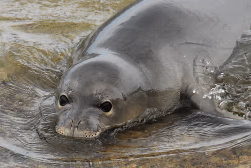 Item #82668664347853387025205030792162106913974488761724448252059371135679539970049 Media