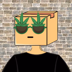 82299632529580078845881021608312943988571118458078184010614823565703862288385