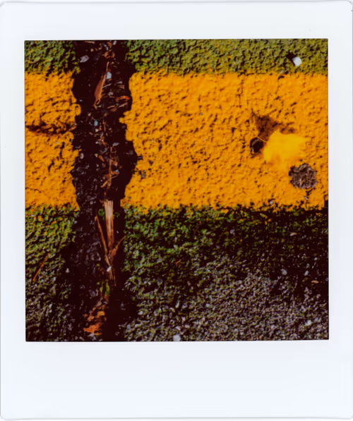 Item #51249984975833416757455642800469001937370100333322465523471565137701131780097 Media