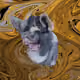 53180631642456764738139299674940583640479914081960747744151190076338424774657