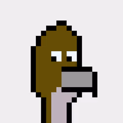 BitBird 811