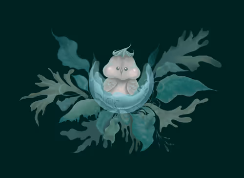 Special items from Seefoon