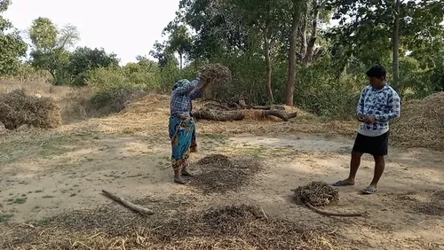 Item #31238153525127499550772937323326202416823057881025068708881805760189584900097 Media