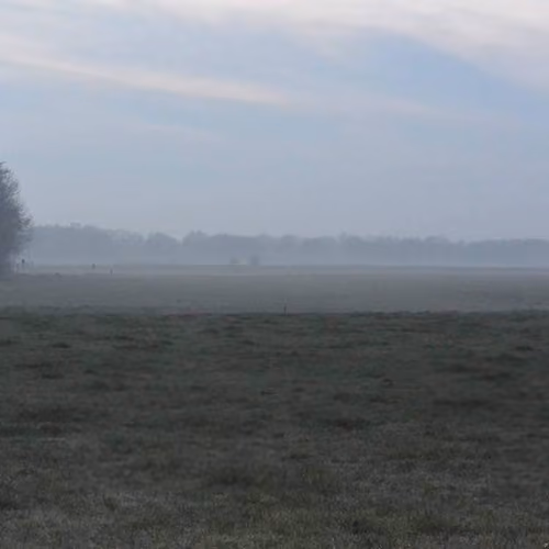 Morning Drenthe