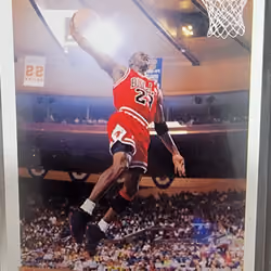 Michael Jordan 