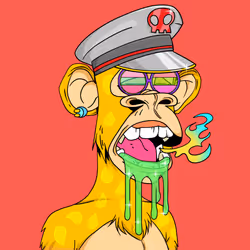 34364242174392038247000171429866703485334863101017511533495083464777187459073