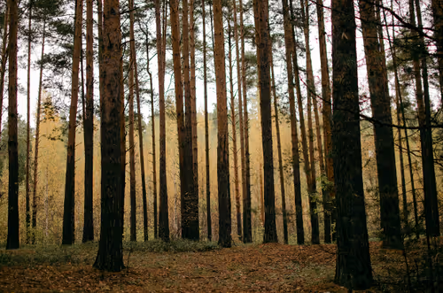 Item #89749655781633695214918973850275472722969414754438239918620403776539290763265 Media