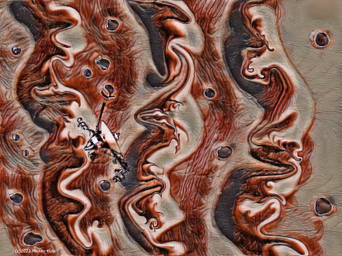 Item #12045251777728432145956186615636255554513533574768873390781080177803679236097 Media