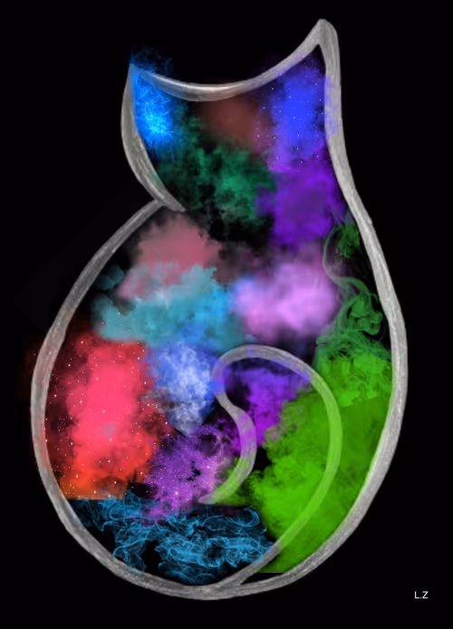 Item #18340860860822342632025230374921973301183763072425126821376898967152676044801 Media