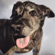 7868994558059478733253527697717682001838655351329122908542803806399406014465