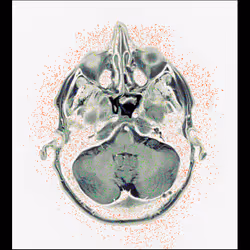 64162533542198579898252916190583583845604629893829087458582975897525110702081