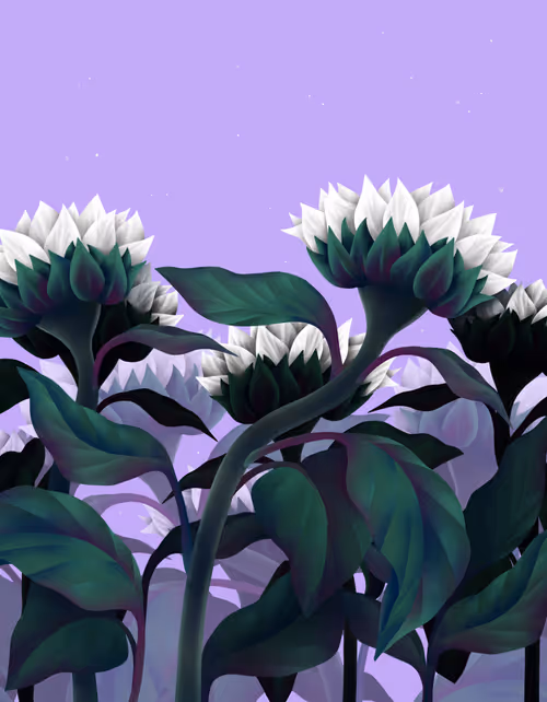 Item #79220406889070505469438470721570233900552505577252242158877271127066197098497 Media