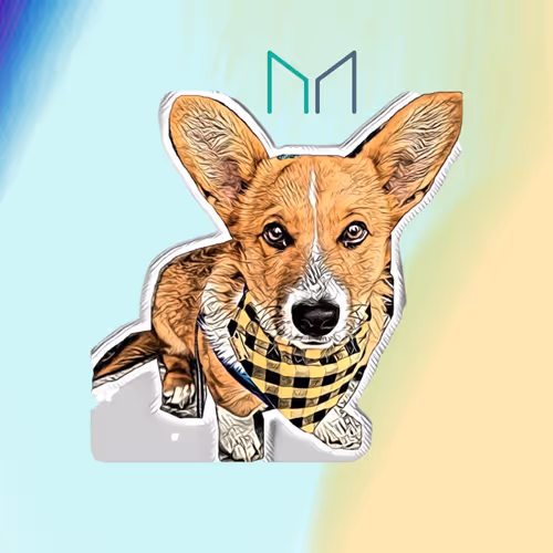 Item #115712514107430615491525501628156342100527745587652770625275158233908590411777 Media