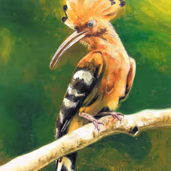 Serie animals and birds. Oil Painting.