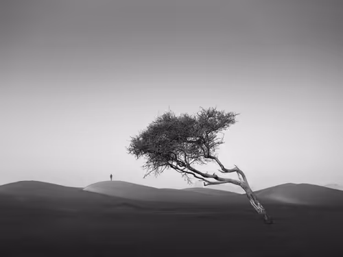 Item #108814857691029429230781820568210235490063919231059486623727012646479623880705 Media