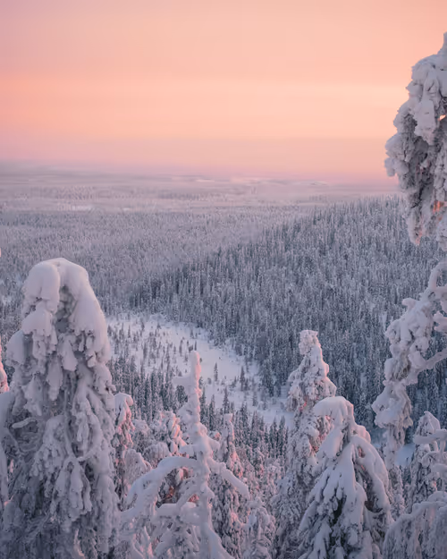 Item #85137439897558800446681939847979956921112818192745958846838338958959457599489 Media