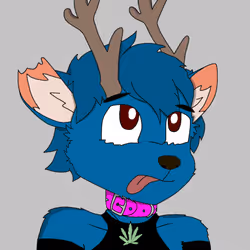 30016579514841798280272942481353484762685851957115112550778020480427371790337