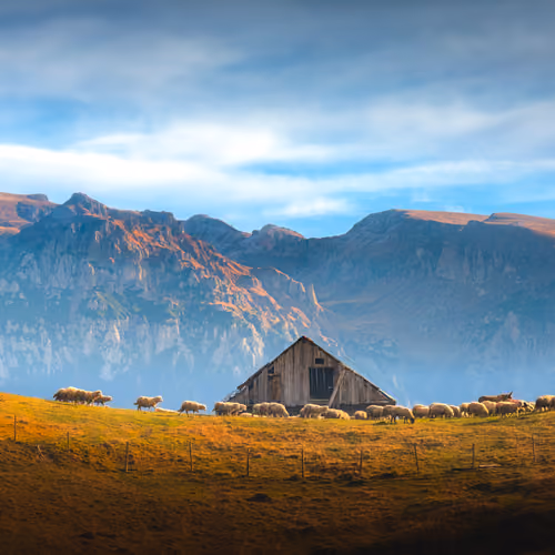 Pastoral #3