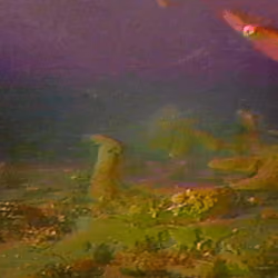 Seal (07)