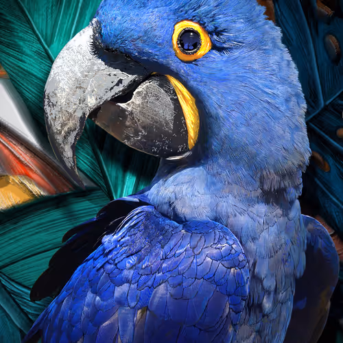 rRopicaL hY