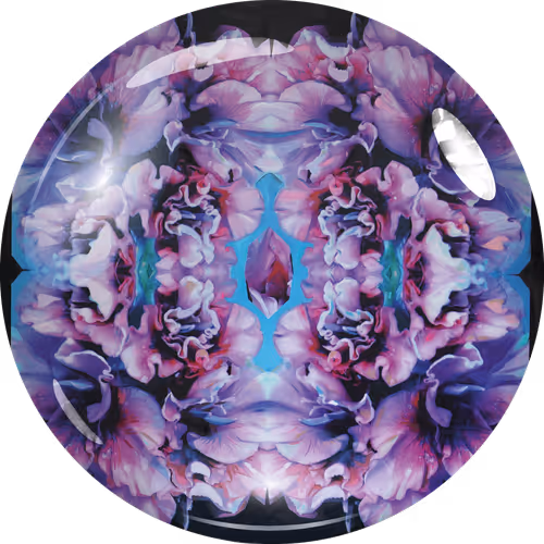 Item #49357860121482718448107200209866634509781940858892046971386769830266236043265 Media