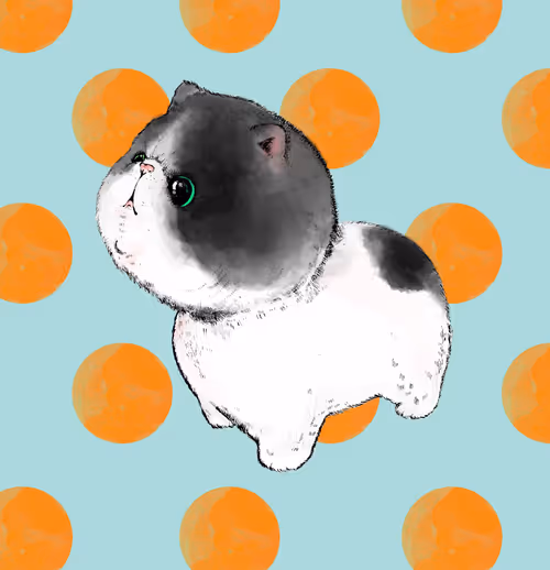 Item #37787359946517531250562291799525874448910537892577059247393481168477057187841 Media