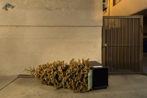 Item #97596376492587480991564299989885194485729582935183473269224319439938701492225 Media