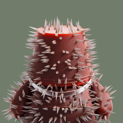 Item #39911559189528856200351736644459117481965903593395680138170847069422921711617 Media