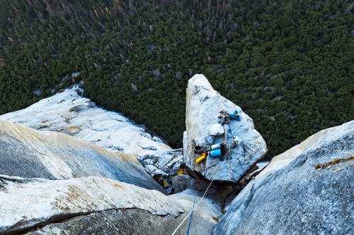 MrMeester Collection