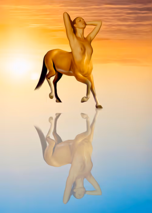 Item #19601376126721180617302450299539769439027664697650217195991253156881445683210 Media