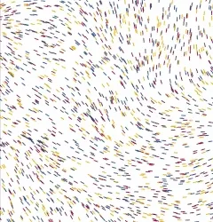 Primary Fields #007