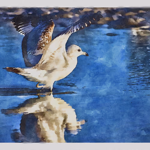 55704534837685659622621715309832868758345944585427688586690141381678994554881